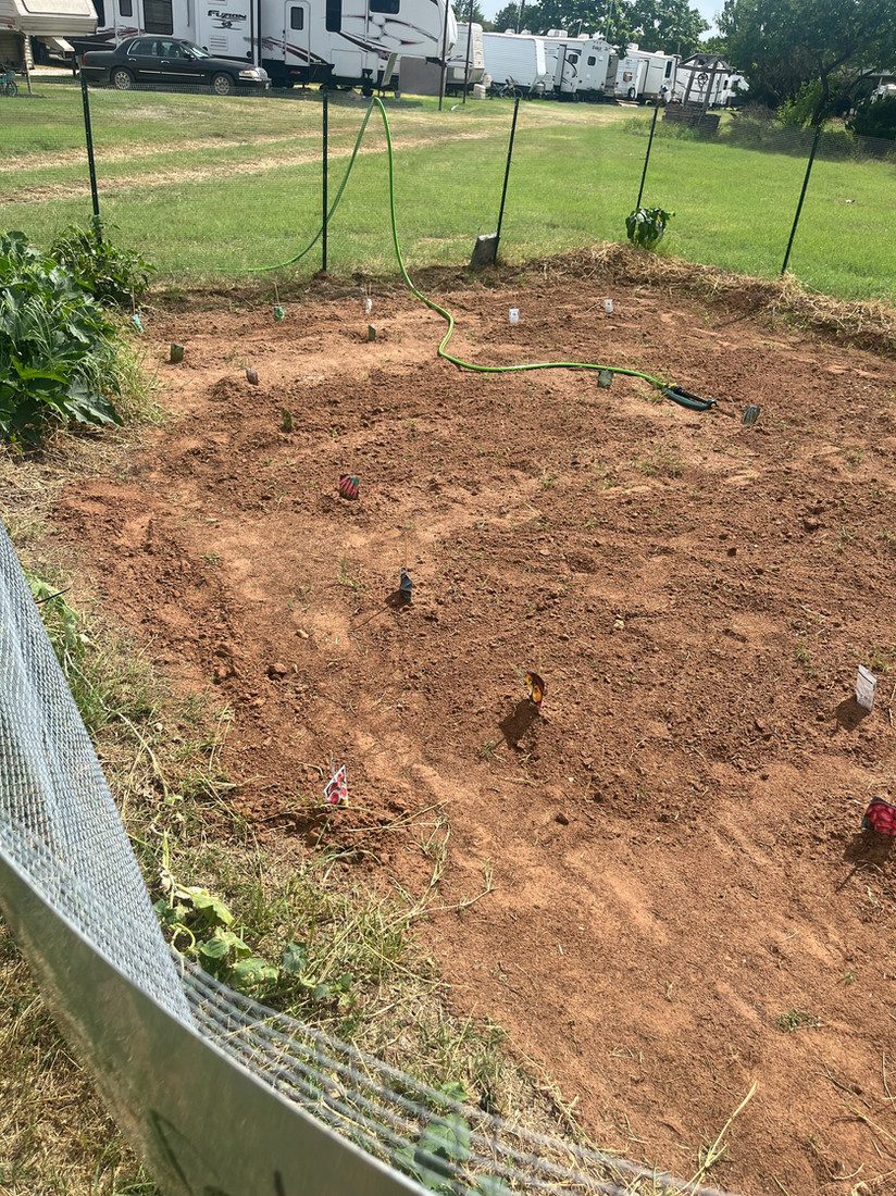 Community vegetable and flower gardens