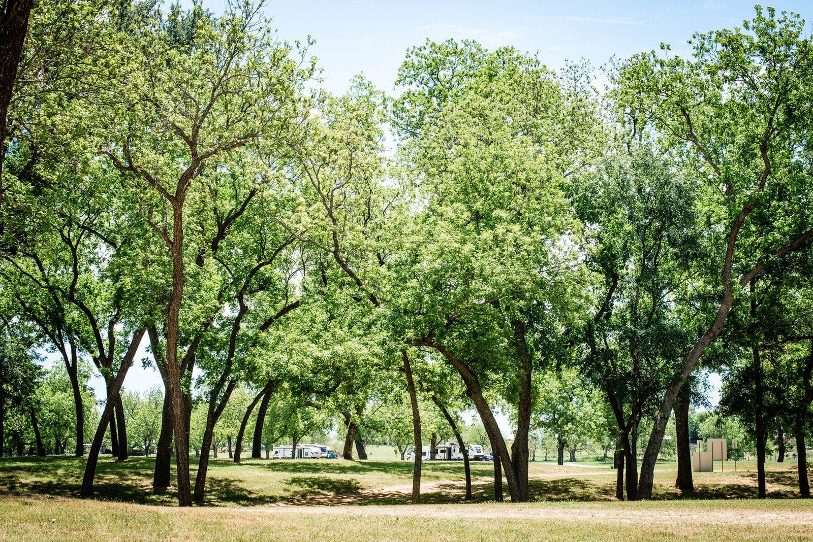 Grounds at Western Edition RV Community